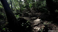 Jalan terjal harus dilalui.