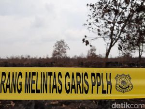 KLHK Segel 7 Lahan Konsesi Perusahaan di Sumsel, 1 Milik Singapura