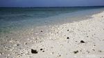 Terpesona Indahnya Pantai Pasir Putih di Wolo