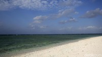 Ya, Festival Manami adalah festival tahunan warga Miangas untuk menangkap ikan.