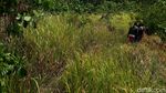 Ekspedisi Menuju Tempat Keramat di Miangas