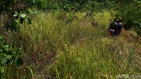 Dari pemukiman penduduk, traveler bisa naik menuju ke arah Mercusuar. Dibutuhkan waktu sekitar 20 menit untuk mendaki ke bukit tempat Mercusuar berada.
