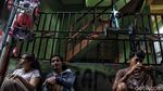 Mengintip Kehidupan Warga di Permukiman Padat Penduduk Ibu Kota