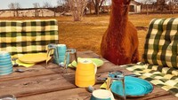  Bagi pencinta hewan, mampir ke Alpakafarm Nieplitzhof yang ada di Berlin, Jerman, bisa jadi destinasi wisata yang menyenangkan dan tentunya unik. Foto: Istimewa