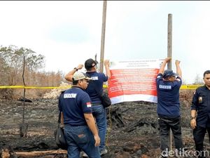 KLHK Segel Perusahaan Tebu di Sumsel Terkait Karhutla