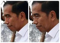 Viral Foto Air Mata Jokowi di Area Karhutla, Begini Faktanya