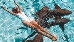 Foto: Cantiknya Pilot Madeleine yang Populer di Instagram