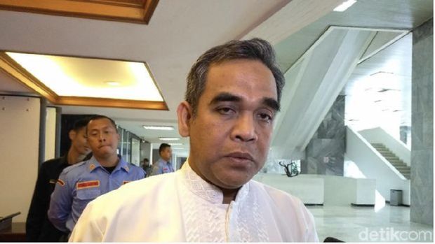 Ahmad Muzani (Nur Azizah Rizki Astuti/detikcom)