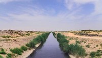 Al-Ahsa bisa dikatakan sebagai lahan paling subur dan hijau di Arab Saudi. Kenapa tidak, di sini tumbuh dengan suburnya 2,5 juta pohon kurma kualitas terbaik, ragam sayuran, buah dan bisa ditumbuhi padi (Foto: UNESCO)