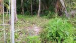 Foto: Goa Kamenanga yang Keramat