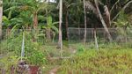 Foto: Goa Kamenanga yang Keramat
