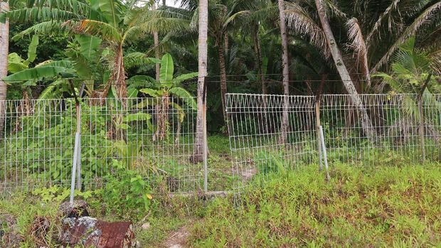 Goa Kamenanga, Saksi Bisu Perjuangan Pulau Utara Indonesia