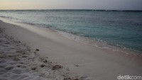 Caranya, puluhan warga membentangkan janur kelapa yang dirangkai menyerupai tambang untuk menggiring ikan dari laut menuju ke pantai.