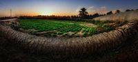Arab Saudi Punya Oasis Terbesar di Dunia