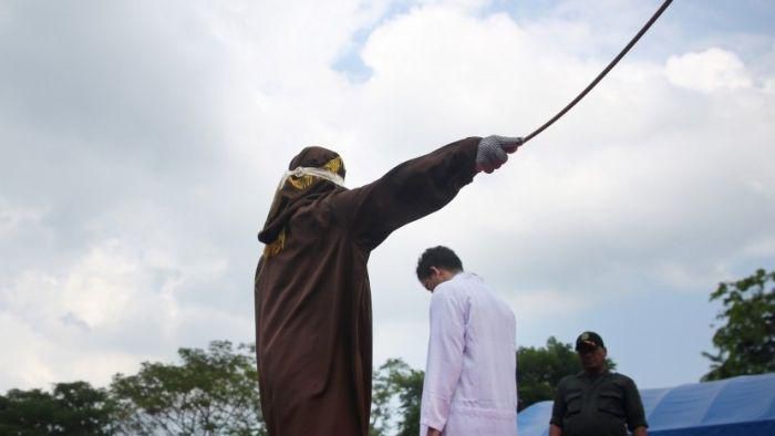Perlu Terobosan Hukum, Pemburu Liar Di Aceh Dihukum Cambuk