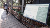 Pengunjung melihat-lihat macan tutul Jawa di Kebun Binatang Bandung.