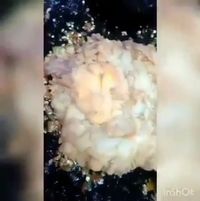 Resep Bikin Telur Ceplok Geprek yang Gurih Renyah