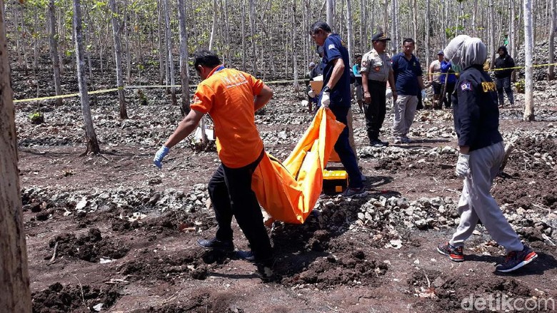 Misteri Penemuan Kerangka Manusia di Tengah Kebun Jati Gunungkidul