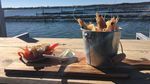 Di Australia Bisa Langsung Makan Tiram Segar di Tengah Lautan Lepas