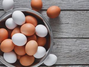 Cek Kesegaran Telur Ayam dengan 5 Cara Praktis Ini