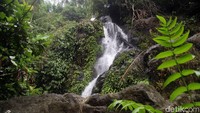 Air Terjun Limbong Miala dan Air Terjun Mangngae belum dikelola oleh pemerintah setempat. Padahal potensinya besar sekali sebagai destinasi wisata. (Abdy Febriady/detikcom)