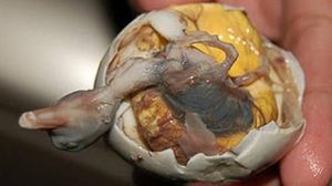 Balut, Telur Isi Embrio Bebek yang Kontroversi Tapi Tetap Disukai