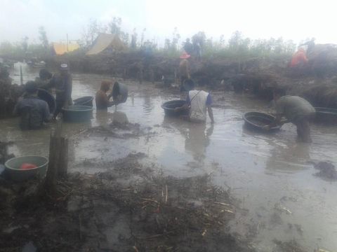 Heboh Warga Berburu Harta Karun Kerajaan Sriwijaya Usai Karhutla Padam 