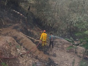 Lahan Bambu Seluas 5 Hektare di Bogor Terbakar