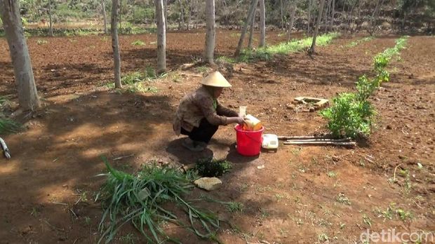 Warga di Kecamatan Rongkop, Gunungkidul mengambil air dari pipa PDAM yang bocor.