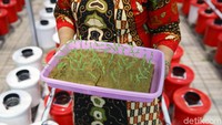 Selain cocok untuk berkebun di lahan yang terbatas karena hanya mengandalkan air yang diberi zat hara sebagai media tanamnya, bercocok tanam dengan memanfaatkan teknik hidroponik juga cukup mudah terkait perawatannya.