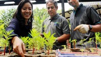 Perusahaan tambang terintegrasi ABMM yang sejak 2015 telah melibatkan 730 karyawan secara sukarela untuk membantu menjalankan program tanggung jawab sosial perusahaan untuk revegetasi dan rehabilitasi lahan di waduk situ gintung.