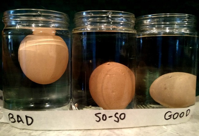 Cek Kesegaran Telur Ayam dengan 5 Cara Praktis Ini