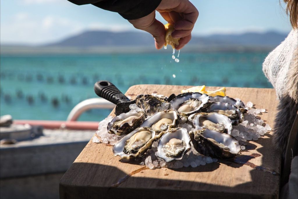 Fresh oysters from the sea at Coffin Bay on Eyre Peninsula