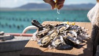 Tangkapan tiram yang segar dan masih mentah, jadi salah satu menu yang paling favorit di sini. Apalagi ditambah dengan pemandangan laut yang indah. Foto: Istimewa