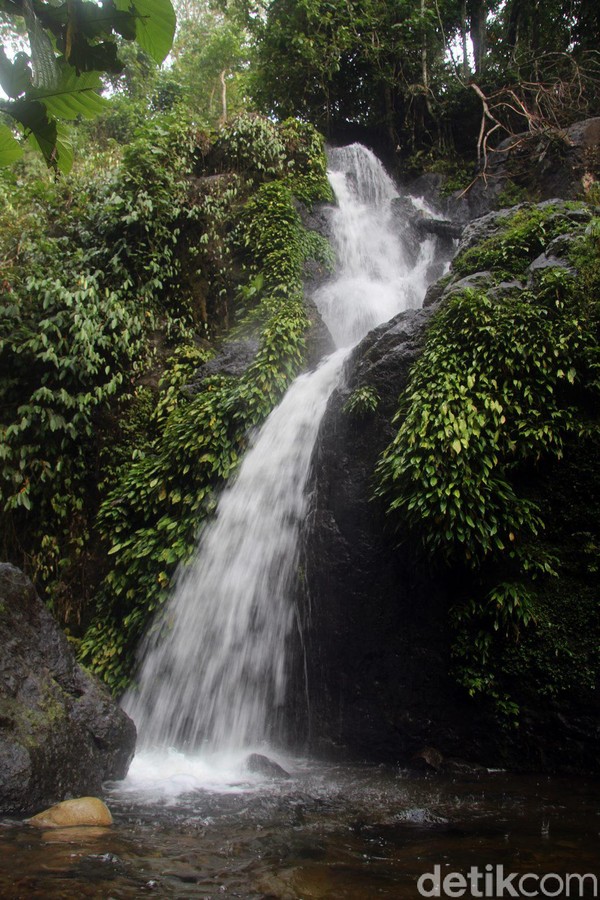 Terpisah jarak 100 meter, ada Air Terjun Mangngae yang tak kalah cantiknya. Ketinggian air terjun ini sekitar 30 meteran. (Abdy Febriady/detikcom) Terpisah jarak 100 meter, ada Air Terjun Mangngae yang tak kalah cantiknya. Ketinggian air terjun ini sekitar 30 meteran. (Abdy Febriady/detikcom)