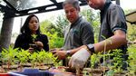 Rehabilitasi Lahan di Sekitar Waduk Situ Gintung