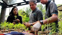 Hadir dalam acara tersebut Direktur Utama PT ABM Investama Tbk (ABMM) Andi Djajanegara (tengah) bersama Corporate Secretary ABMM Rindra Donovan (kanan) dan Founder Kebun Kumara Soraya Cassandra, menyiapkan bibit tanaman yang akan ditanam dalam upaya merehabilitasi lahan marginal di Waduk Situ Gintung, Ciputat, Tangerang Selatan, Banten, Kamis (3/10/2019). 
