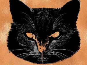Segera Rilis Novel Baru, Stephen King Ceritakan soal Kucing Lagi?