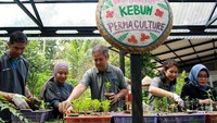 Mereka menanamkan tanaman produktif tanpa menggunakan pestisida untuk mengurangi kerusakan tanah dan polutan di kota besar.