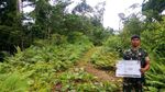 Kilas Balik Prajurit TNI Tembus Hutan Bangun Trans Papua