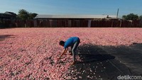 Sebelumnya, pabrik ini, dalam sehari mampu mengirim 10 hingga 12 ton kerupuk bawang.