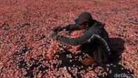 Pekerja tengah menjemur kerupuk bawang.