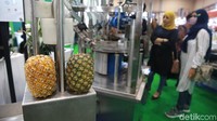 Mesin pemeras buah nanas.