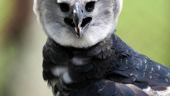 Foto: via Bored Panda