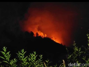 Api yang Membakar Bukit Penanjakan Bromo Belum Padam