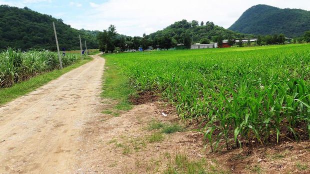 Bukit di Thailand Dipercaya Jadi Tempat Pendaratan UFO