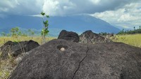 Penelitian arkeologi di lapangan tembak Kodam XVII/Cenderawasih, Gunung Bakso, Distrik Waibu, Kabupaten Jayapura, Papua berhasil menemukan tinggalan megalitik berupa bongkahan batu besar yang pada masa prasejarah berfungsi sebagai lumpang (Hari Suroto/Balai Arkeologi Papua/Istimewa)
