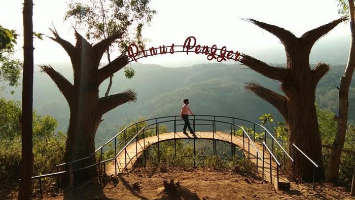 Hutan Pinus Pengger Yogyakarta