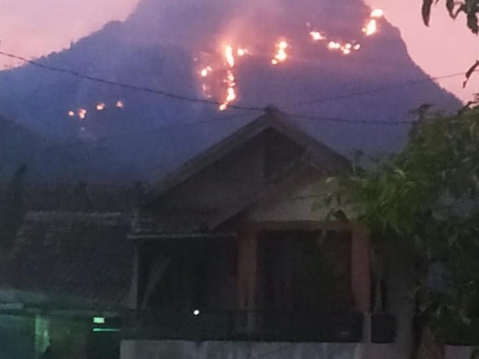 Gunung singa soreang kebakaran
