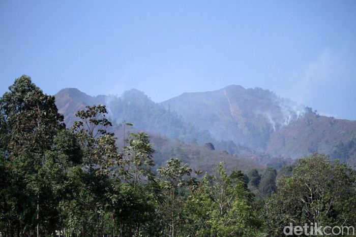 Kebakaran lahan terjadi di kawasan Gunung Malabar, Kabupaten Bandung, Jawa Barat. Kebakaran itu menimbukan asap yang membubung tinggi.